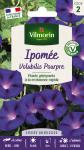 Fleurs - Ipomée Volubilis Pourpre - PACKAGING_RECTO